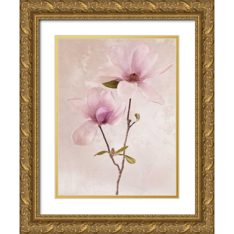 Tulip Blush II Gold Ornate Wood Framed Art Print with Double Matting by Zalewski, Christine