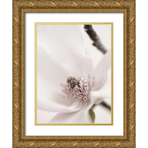 Magnolia Blush II Gold Ornate Wood Framed Art Print with Double Matting by Zalewski, Christine