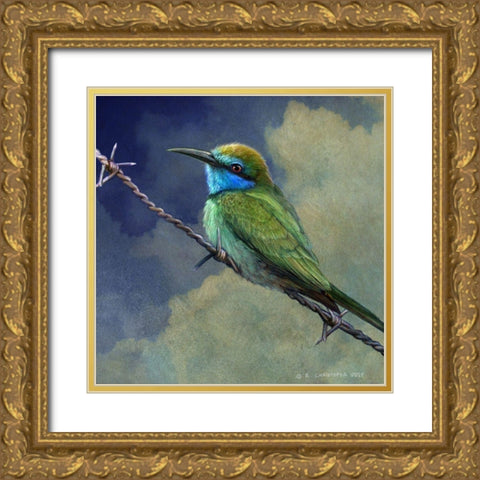 Bee Eater Gold Ornate Wood Framed Art Print with Double Matting by Vest, Chris