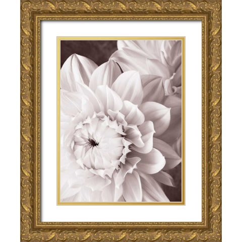 BandW Dahlias I Gold Ornate Wood Framed Art Print with Double Matting by Zalewski, Christine