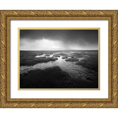 Scale Moor Gold Ornate Wood Framed Art Print with Double Matting by Henson, Martin