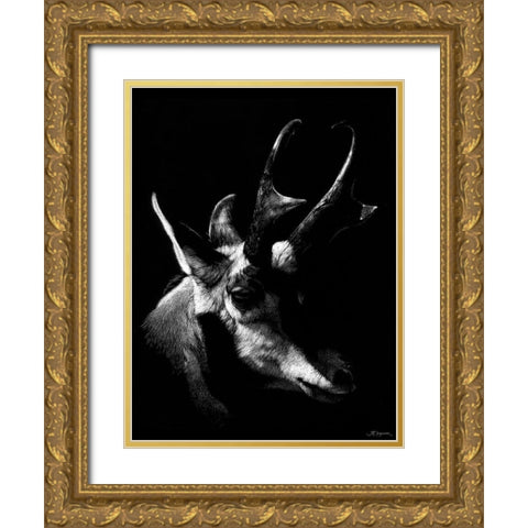 Wildlife Scratchboards II Gold Ornate Wood Framed Art Print with Double Matting by Chapman, Julie T.