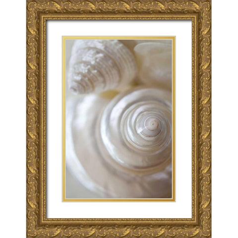 Pearlesce I Gold Ornate Wood Framed Art Print with Double Matting by Zalewski, Christine