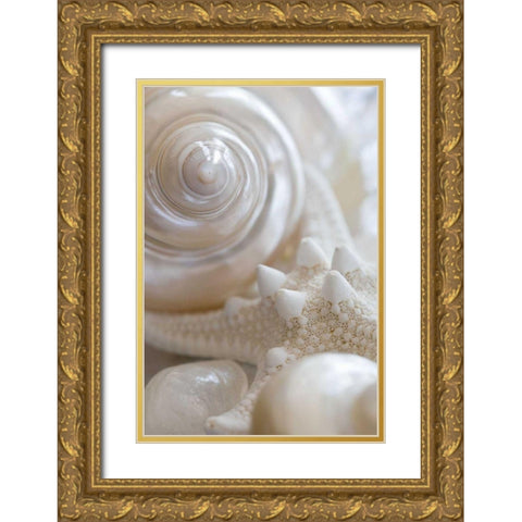 Pearlesce II Gold Ornate Wood Framed Art Print with Double Matting by Zalewski, Christine