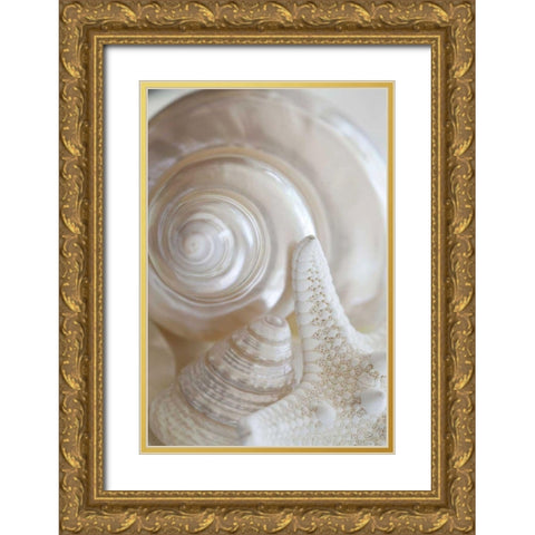 Pearlesce III Gold Ornate Wood Framed Art Print with Double Matting by Zalewski, Christine