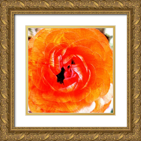 Relatives III Gold Ornate Wood Framed Art Print with Double Matting by Harrington, Danielle