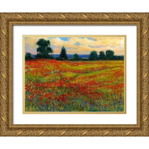 Red Field I Gold Ornate Wood Framed Art Print with Double Matting by OToole, Tim