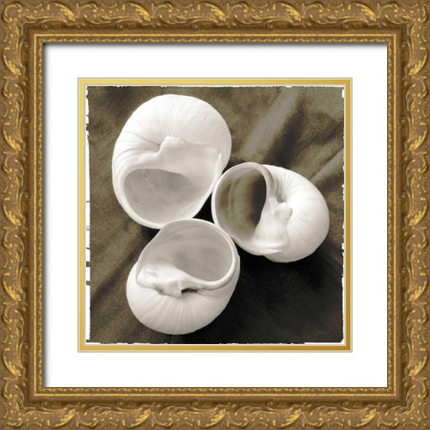 Equalized Shell Trio I Gold Ornate Wood Framed Art Print with Double Matting by James, Andrea