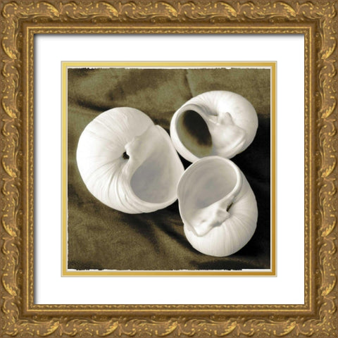 Equalized Shell Trio II Gold Ornate Wood Framed Art Print with Double Matting by James, Andrea