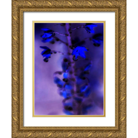 Morning Rain III Gold Ornate Wood Framed Art Print with Double Matting by Teton Parchment