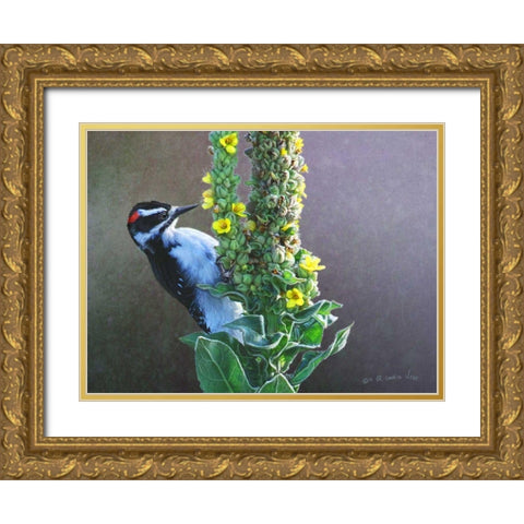 Woodpecker Mullen Gold Ornate Wood Framed Art Print with Double Matting by Vest, Chris
