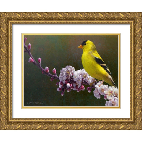 Goldfinch Flowers Gold Ornate Wood Framed Art Print with Double Matting by Vest, Chris