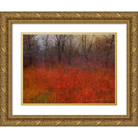 Red Grass I Gold Ornate Wood Framed Art Print with Double Matting by Vest, Chris
