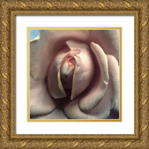 Blushing Rose II Gold Ornate Wood Framed Art Print with Double Matting by Chester, Colby