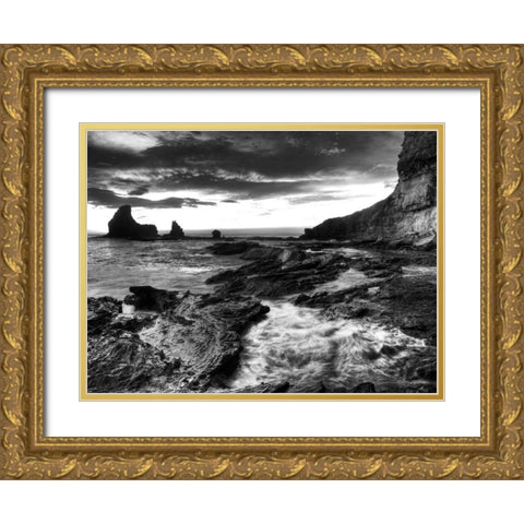 Rushing Tides Gold Ornate Wood Framed Art Print with Double Matting by Nalbandian, Nish