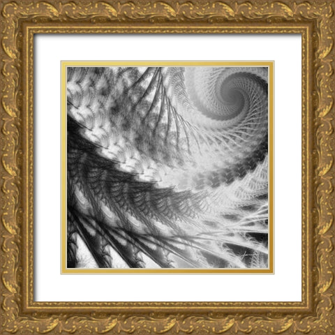 Helix II Gold Ornate Wood Framed Art Print with Double Matting by Burghardt, James