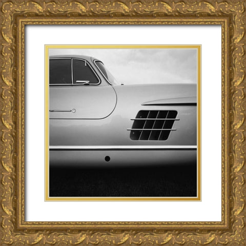 53 Gull Wing Gold Ornate Wood Framed Art Print with Double Matting by Stein, Daniel