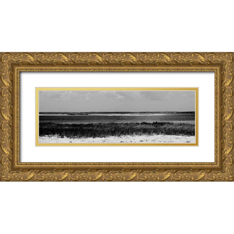 Shore Panorama IV Gold Ornate Wood Framed Art Print with Double Matting by Pica, Jeff