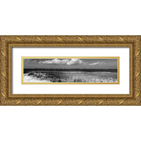 Shore Panorama VII Gold Ornate Wood Framed Art Print with Double Matting by Pica, Jeff