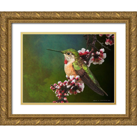 Hummer with Blossoms Gold Ornate Wood Framed Art Print with Double Matting by Vest, Chris