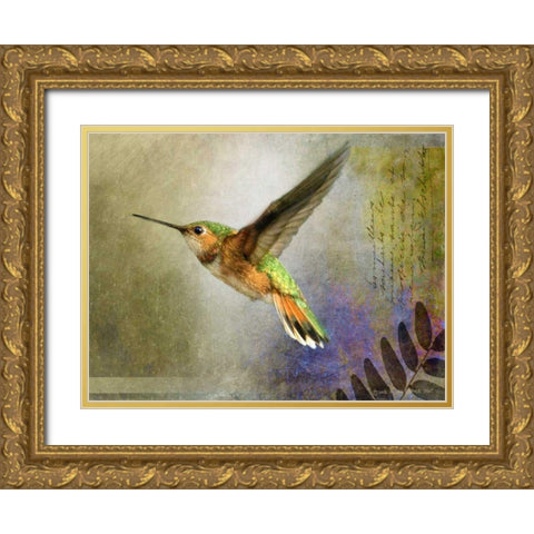 Hummer Flight Gold Ornate Wood Framed Art Print with Double Matting by Vest, Chris