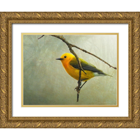 Prothonotary Warbler Gold Ornate Wood Framed Art Print with Double Matting by Vest, Chris