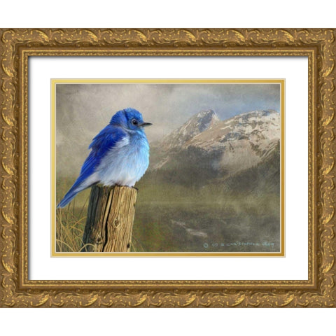 Mountain Blue Bird Gold Ornate Wood Framed Art Print with Double Matting by Vest, Chris