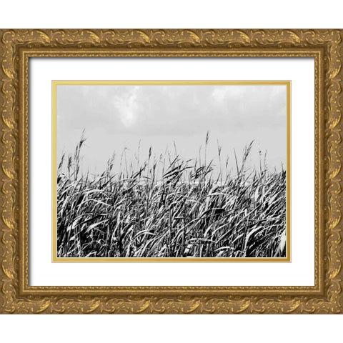 Dune Triptych I Gold Ornate Wood Framed Art Print with Double Matting by Pica, Jeff