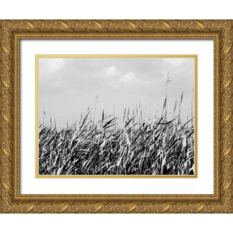 Dune Triptych II Gold Ornate Wood Framed Art Print with Double Matting by Pica, Jeff