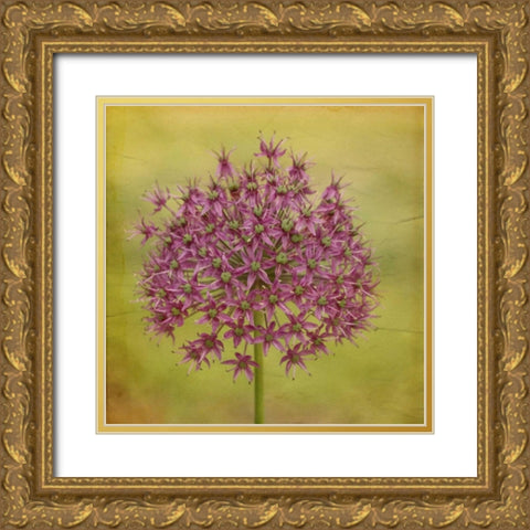 Waiting on Purple V Gold Ornate Wood Framed Art Print with Double Matting by Jorgensen, Jennifer