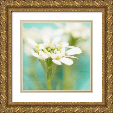 White Flowers I Gold Ornate Wood Framed Art Print with Double Matting by Jorgensen, Jennifer