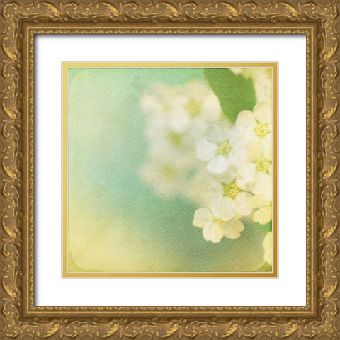 White Flowers II Gold Ornate Wood Framed Art Print with Double Matting by Jorgensen, Jennifer