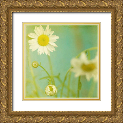 White Flowers IV Gold Ornate Wood Framed Art Print with Double Matting by Jorgensen, Jennifer