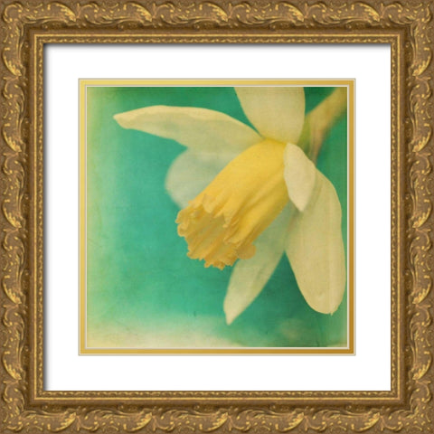 White Flowers V Gold Ornate Wood Framed Art Print with Double Matting by Jorgensen, Jennifer