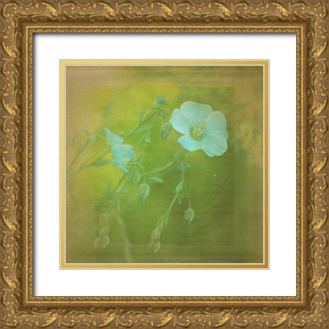 White Flowers VI Gold Ornate Wood Framed Art Print with Double Matting by Jorgensen, Jennifer