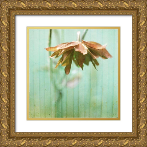 Dream in Pink II Gold Ornate Wood Framed Art Print with Double Matting by Jorgensen, Jennifer