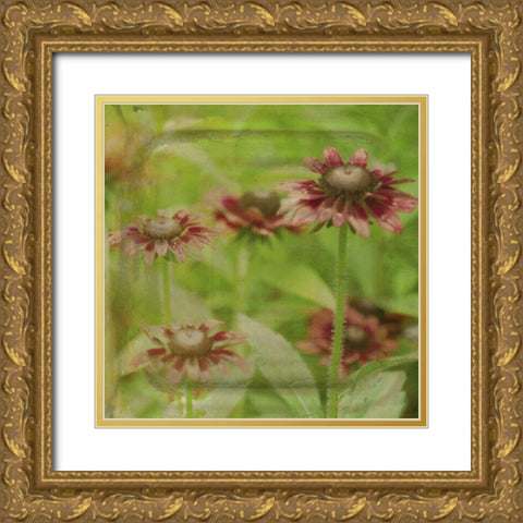 Dream in Pink III Gold Ornate Wood Framed Art Print with Double Matting by Jorgensen, Jennifer