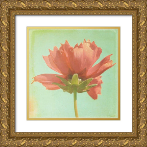 Dream in Pink VII Gold Ornate Wood Framed Art Print with Double Matting by Jorgensen, Jennifer