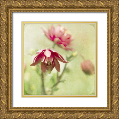 Dream in Pink VIII Gold Ornate Wood Framed Art Print with Double Matting by Jorgensen, Jennifer