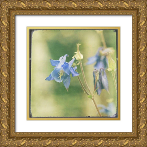 Pastel Paths V Gold Ornate Wood Framed Art Print with Double Matting by Jorgensen, Jennifer