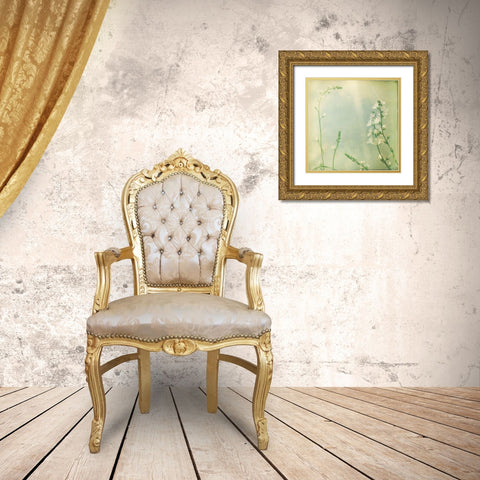 Pastel Paths IX Gold Ornate Wood Framed Art Print with Double Matting by Jorgensen, Jennifer