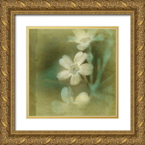 Pastel Paths X Gold Ornate Wood Framed Art Print with Double Matting by Jorgensen, Jennifer