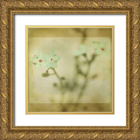 Pastel Paths XI Gold Ornate Wood Framed Art Print with Double Matting by Jorgensen, Jennifer