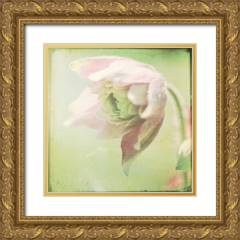 Pastel Paths XII Gold Ornate Wood Framed Art Print with Double Matting by Jorgensen, Jennifer