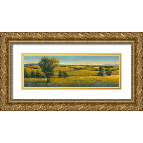 Picturesque Scene I Gold Ornate Wood Framed Art Print with Double Matting by OToole, Tim