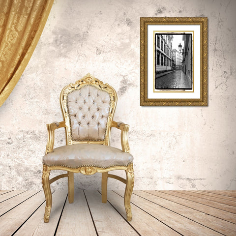 The Streets of Prague III Gold Ornate Wood Framed Art Print with Double Matting by DeNardo, Laura