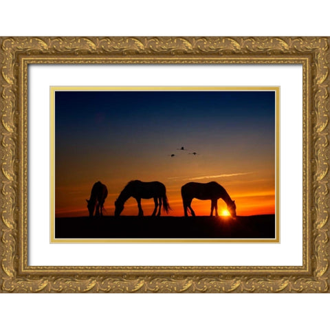 Fly Over Gold Ornate Wood Framed Art Print with Double Matting by PHBurchett