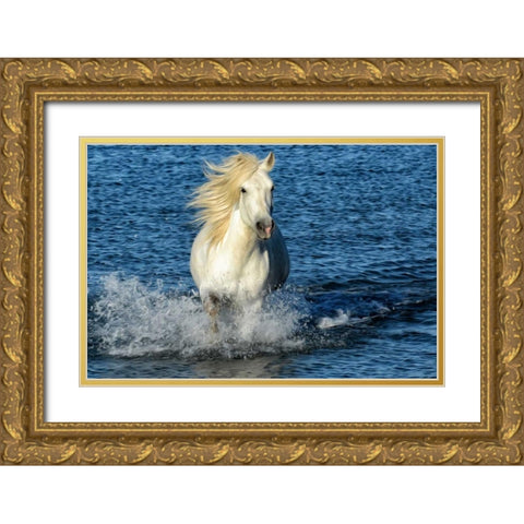 Blue Sea Gold Ornate Wood Framed Art Print with Double Matting by PHBurchett