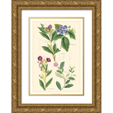 Dietrich Botanical I Gold Ornate Wood Framed Art Print with Double Matting by Dietrich