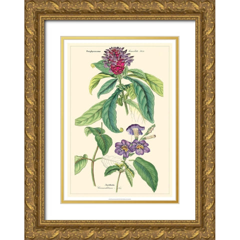 Dietrich Botanical III Gold Ornate Wood Framed Art Print with Double Matting by Dietrich